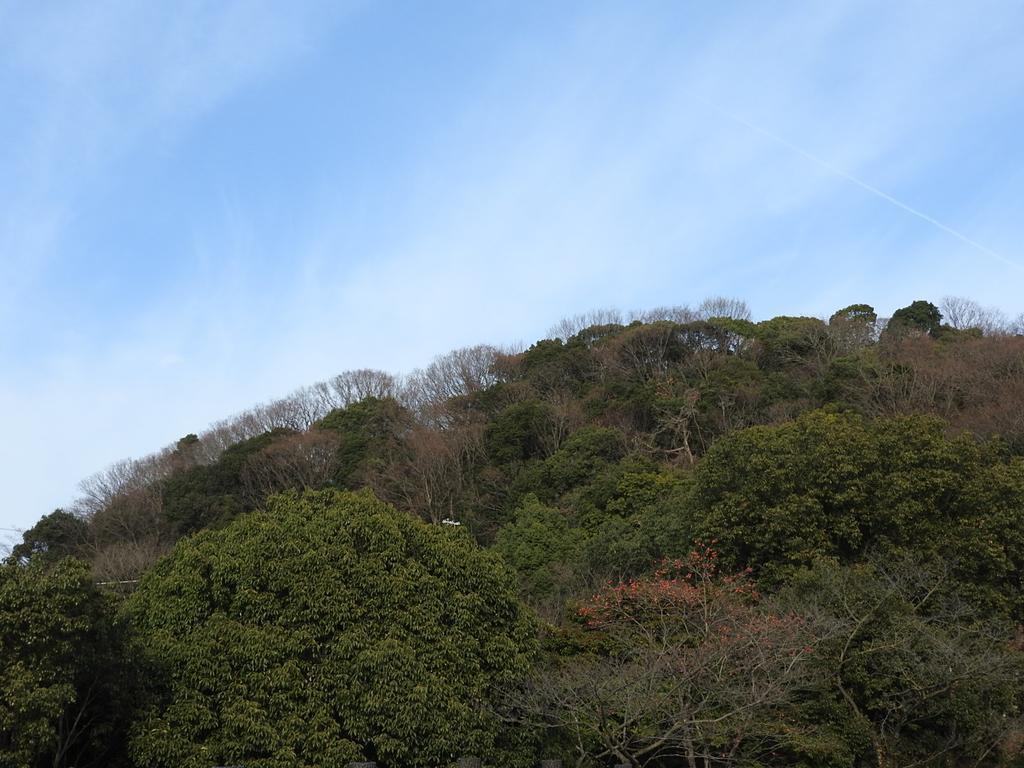 佐贺市 Furuyu Onsen Oogiya酒店 外观 照片